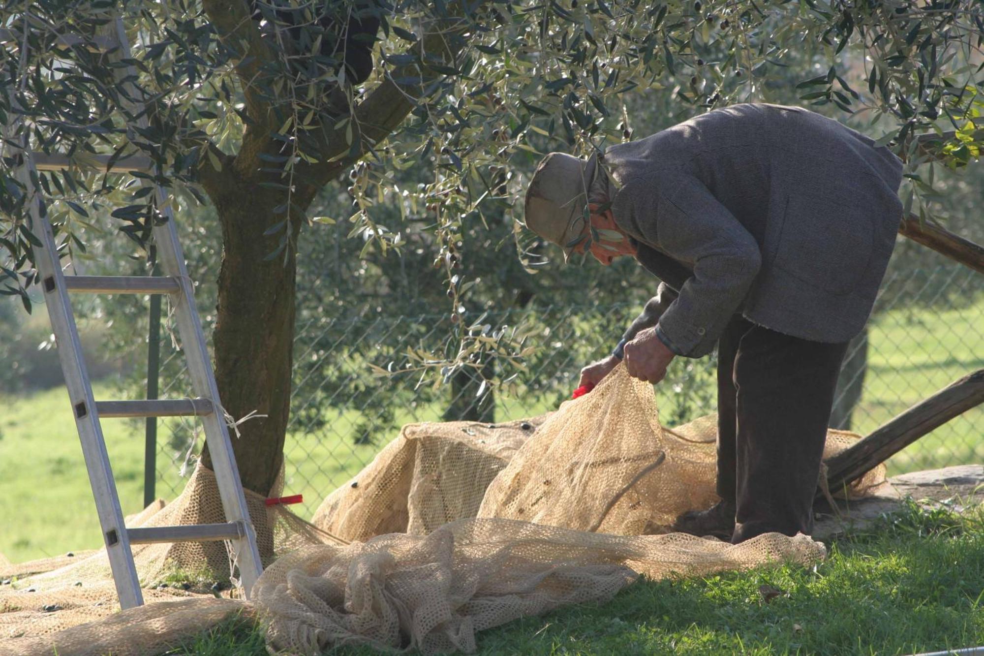 Agriturismo Le Ceregne Bio Pieve Santo Stefano Bagian luar foto